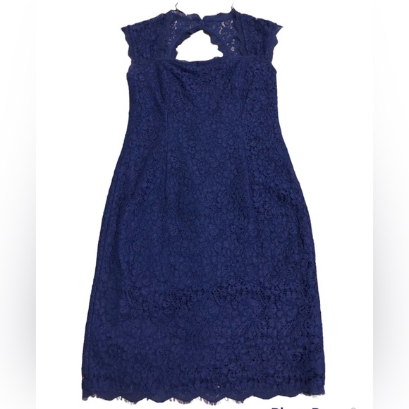 Adrianna Papell Open Back Lace Dress - Picture 1 of 9